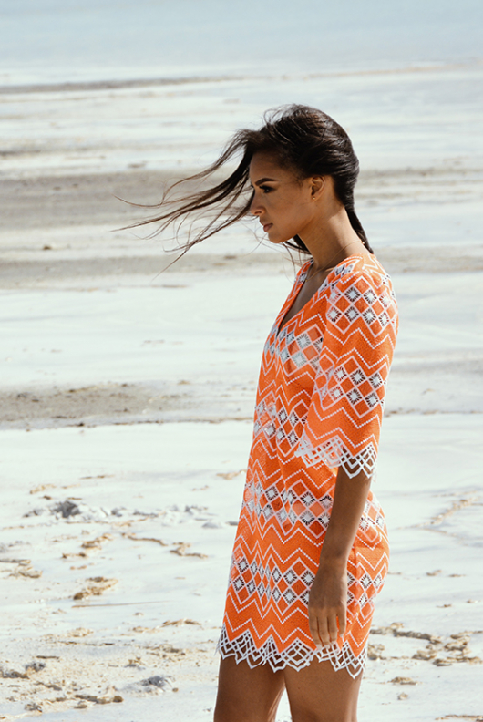 SASHA DRESS